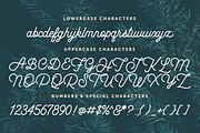 Yuletide Monoline Script, a Script Font by Freshly Made Type (Thumbnail 9 of 9)