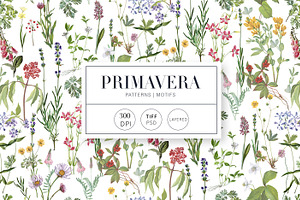 Primavera, Spring Is Here!