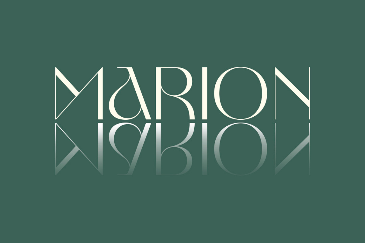 Veronika Luxurious | Bonus Logo, a Sans Serif Font by Mulkan Nazir (Photo 11 of 17)