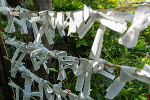 Omikuji paper fortunes at Daisho-in Temple, Miyajima Island, Jap, an Architecture Photo by GoodGoods