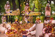 Bundle fall photos /240+pics, a Templates & Theme by tydla (Thumbnail 3 of 11)