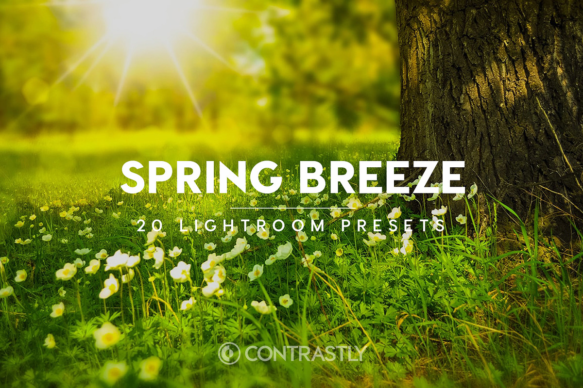 Spring Breeze Lightroom Presets, an Action Add-On by Contrastly Shop (Photo 1 of 4)