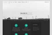 Q'tron - Business Portfolio WP Theme, a WordPress Template by WebMan Design (Thumbnail 2 of 3)