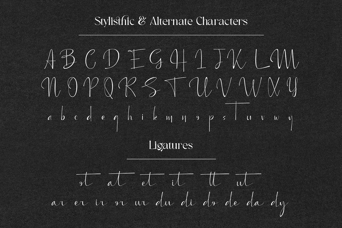 The Executive Casual, a Serif Font by Fontsgood (Photo 10 of 13)
