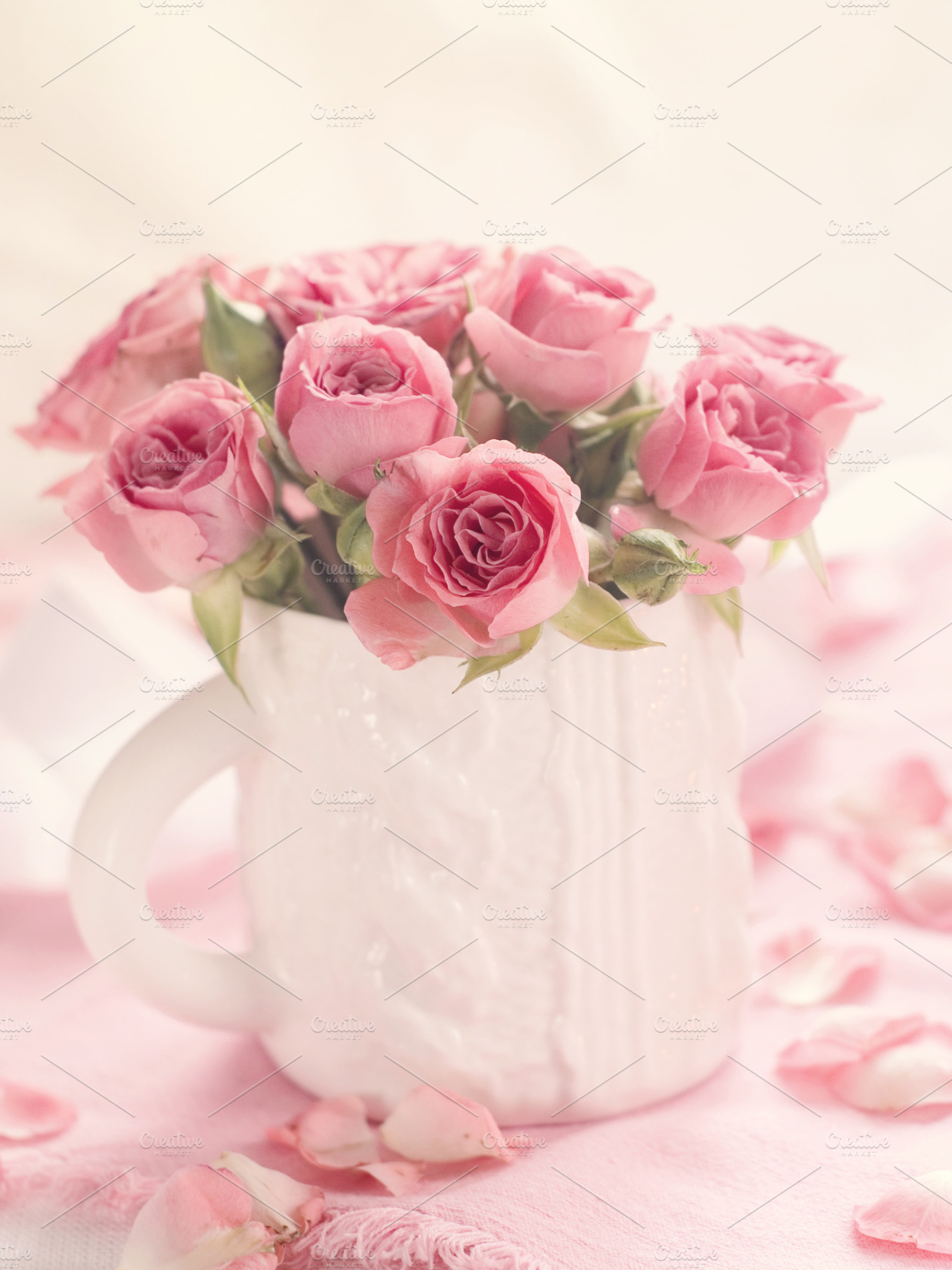 Roses Stock Photograph