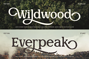 Rofina, a Serif Font by Burntilldead (Thumbnail 4 of 11)