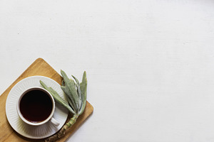 Clean Teacup Succulent Flatlay, a Background Photo by René Jordaan Photography