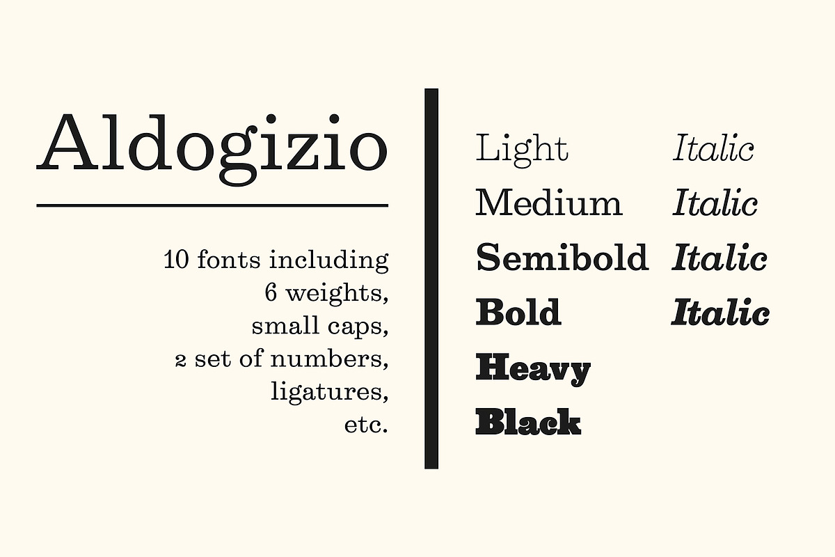 Aldogizio, a Serif Font by TeGeType foundry (Photo 5 of 7)