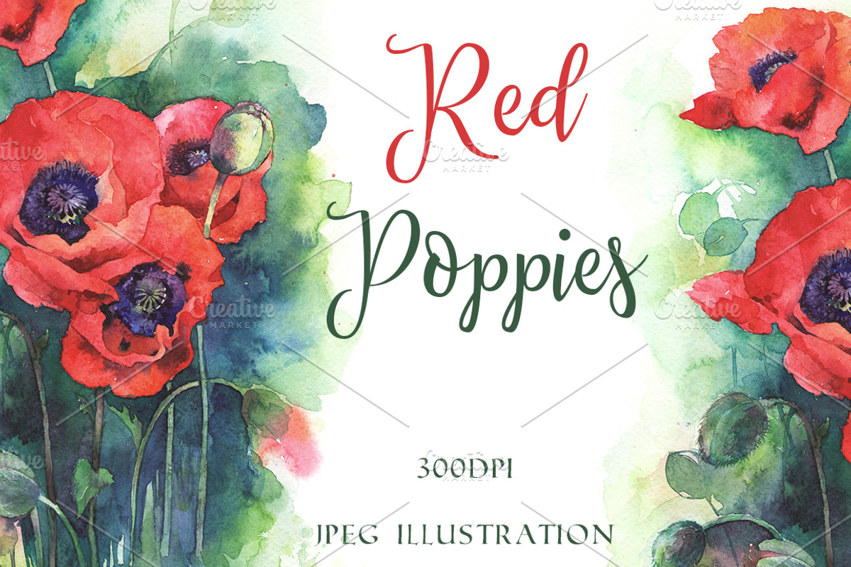SALE! Watercolor poppy flowers, a Decorative Illustration by MaryAmi (Photo 1 of 3)