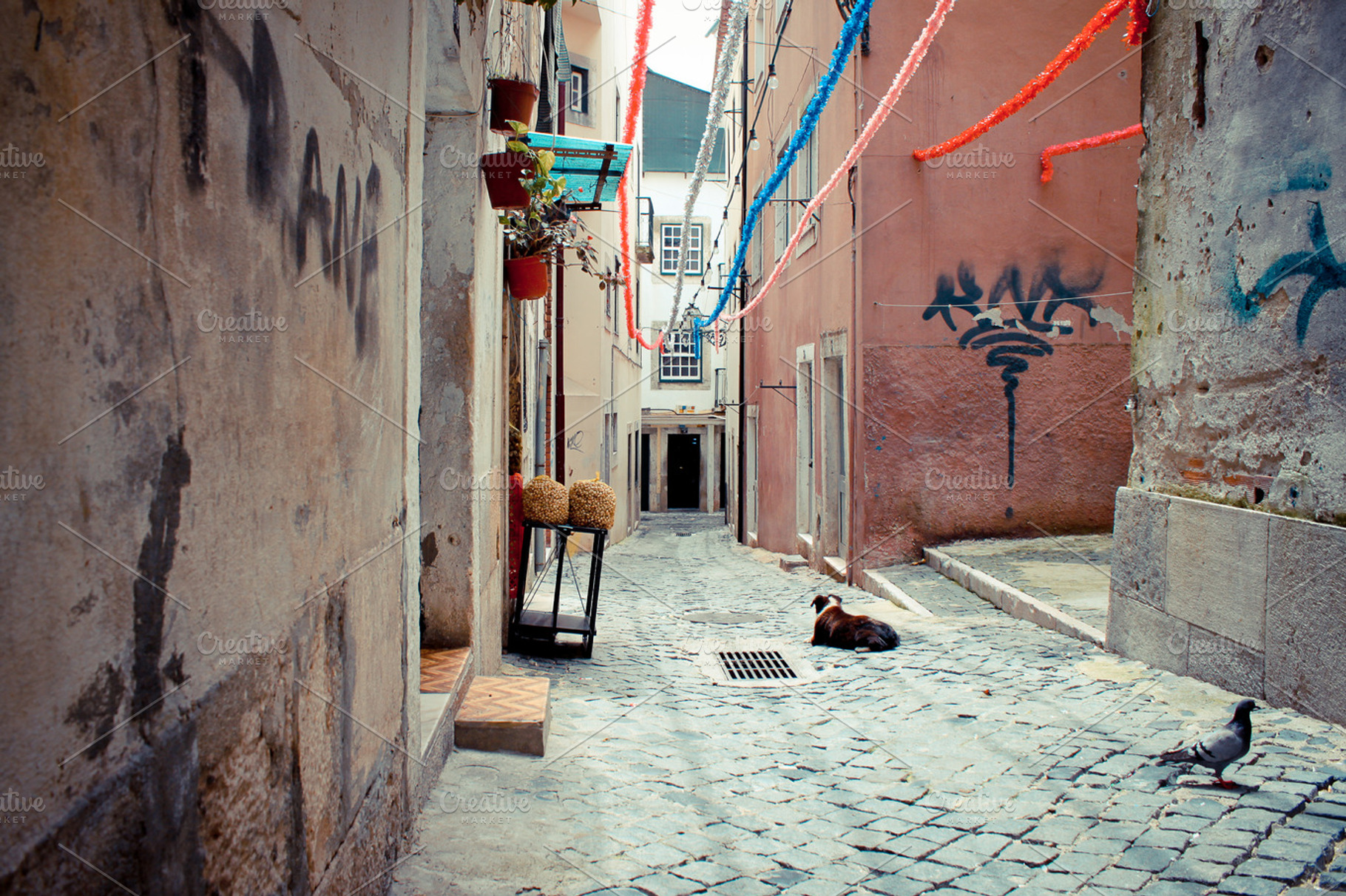Lisbon Alley I
