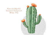Watercolor Cactus, Succulent Clipart, an Object Illustration by ArtGiftsStudio (Thumbnail 4 of 4)