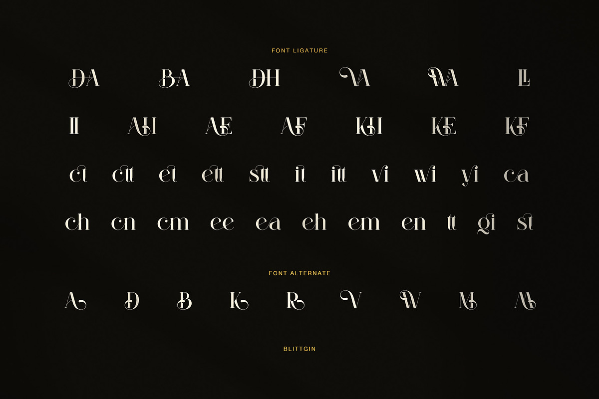 Blittgin Elegant Serif Font, a Serif Font by Perfectype (Photo 8 of 8)