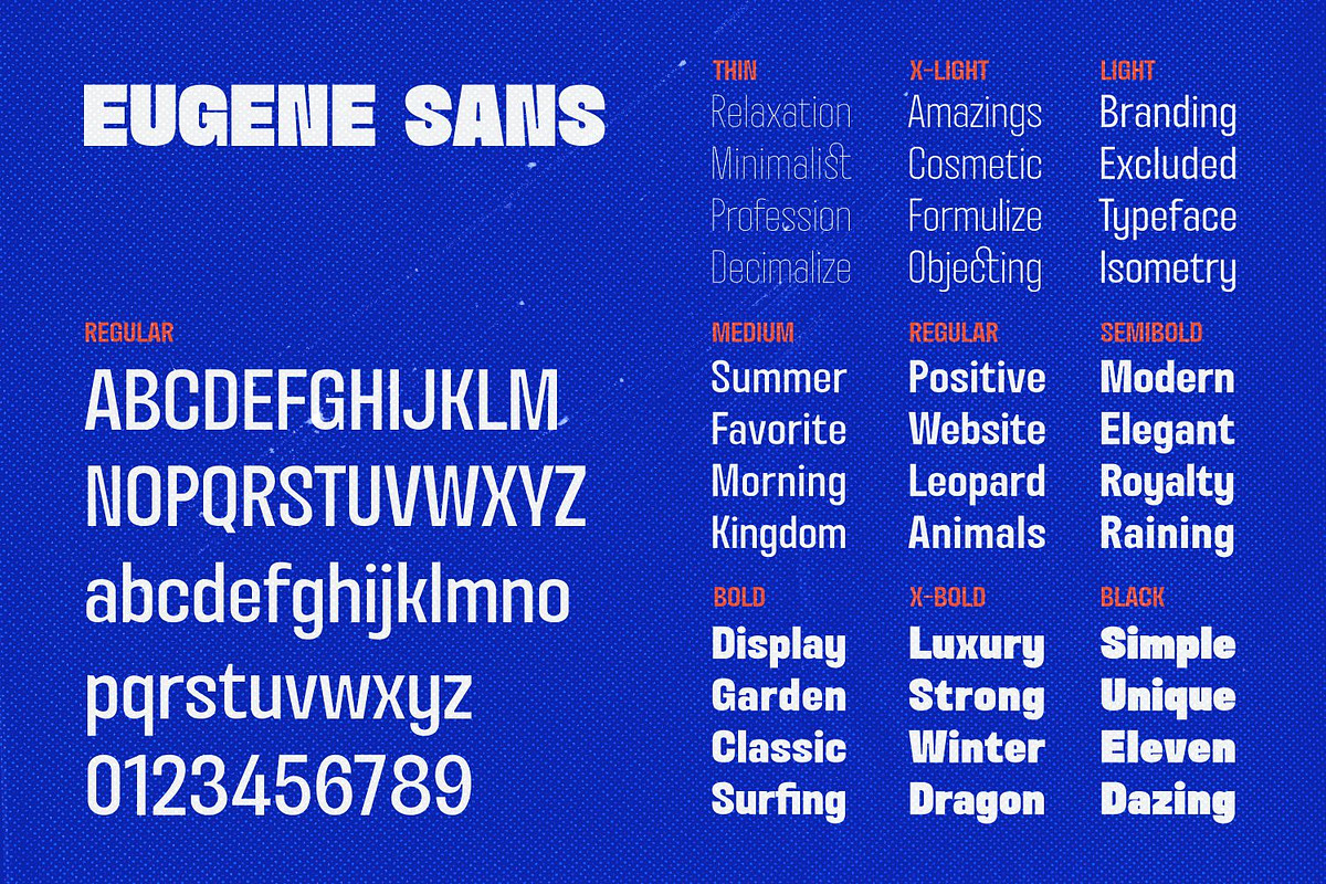 Eugene Sans Fonts Family, a Sans Serif Font by Asenbayu (Photo 8 of 15)