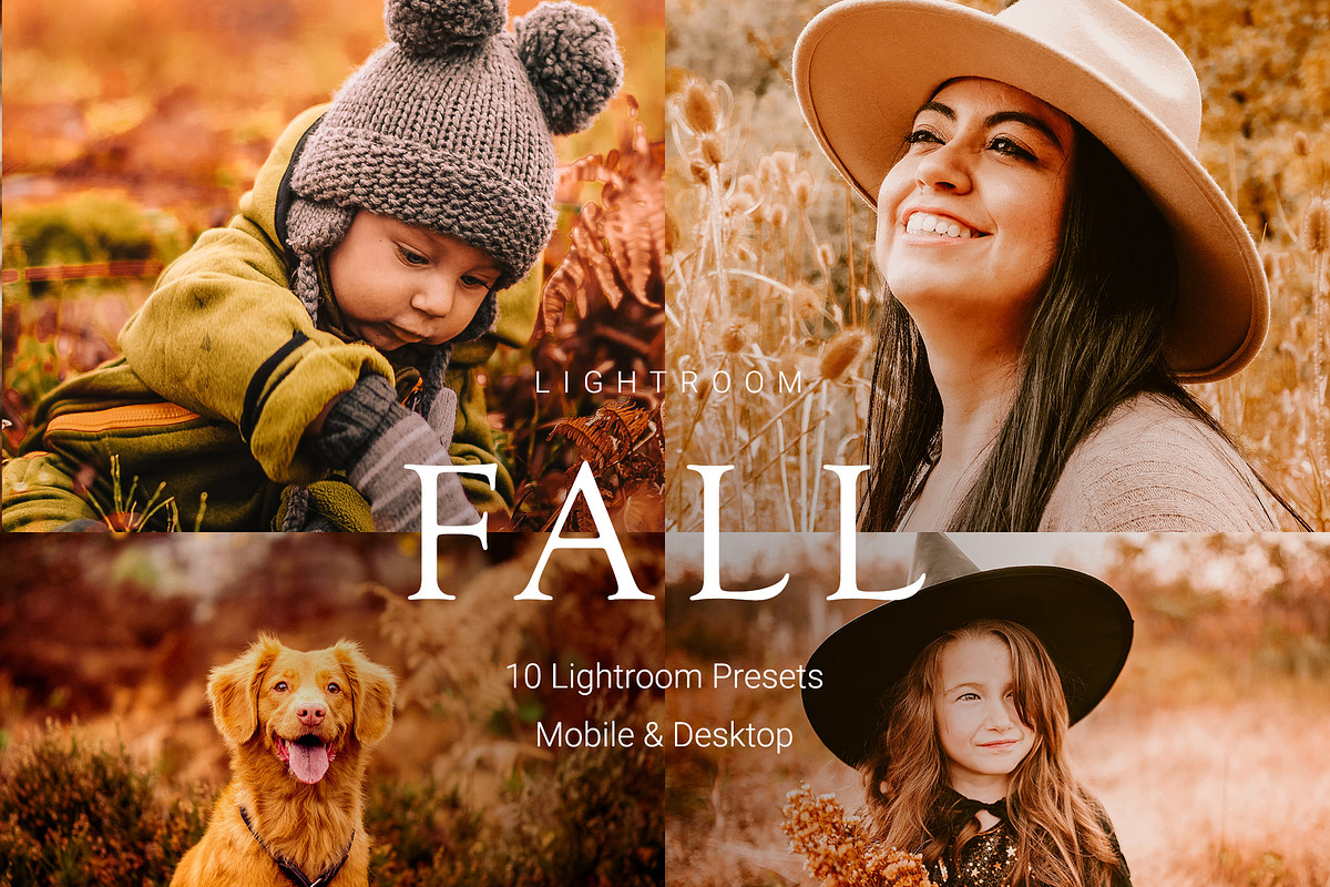 10 Autumn - Fall Lightroom Presets, a Preset Add-On by VividFrame (Photo 1 of 9)