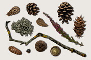 Autumn Leaves Scene Creator, a Product Mockup by Rose Design (Thumbnail 3 of 10)