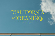 Silvera- Serif Typeface, a Serif Font by Tropical Type (Thumbnail 10 of 12)