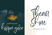 Farihmes, a Script Font by pineungtype (Thumbnail 6 of 8)