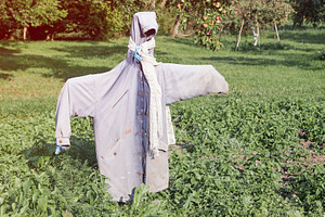 Garden scarecrow in the field, a Nature Photo by BOOCYS