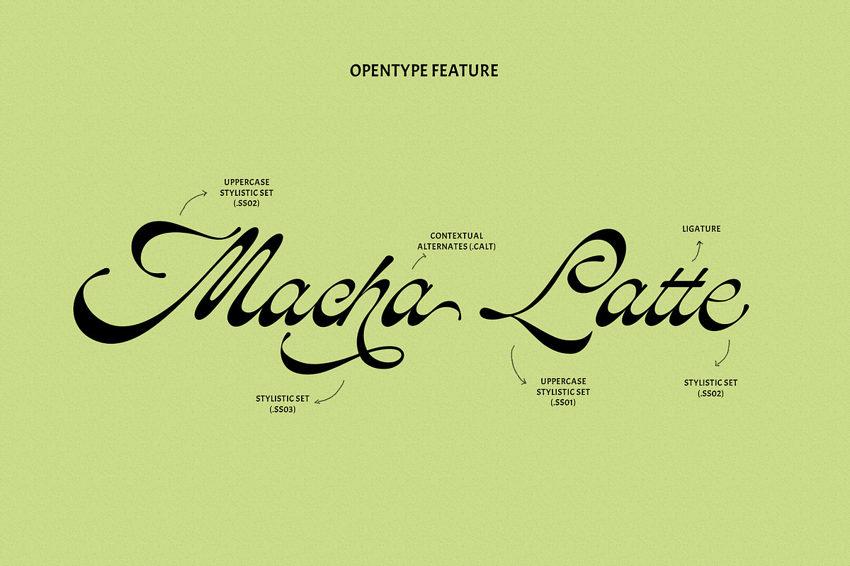 Free Download - Script Fonts