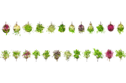 Collage of different microgreens on, a Food & Drink Photo by yanadjana