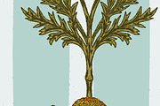 wild daisy botanical stripe, a Pattern Graphic by NayaChu (Thumbnail 10 of 10)