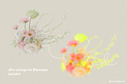 FLORA.PNG | Blurry Flower Collage, an Object Graphic by ana & yvy (Thumbnail 17 of 23)