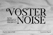 Voster Noise, a Serif Font by Propertype (Thumbnail 1 of 10)