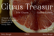 Delcy Rough, a Serif Font by Craft Supply Co. (Thumbnail 5 of 8)