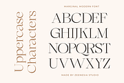 Marginal - A Modern Font, a Serif Font by zeenesia (Thumbnail 15 of 18)