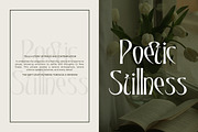 Qalodie - Elegant Modern Aesthetic, a Serif Font by roomspace creative lab (Thumbnail 3 of 13)