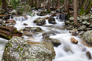 Bridalveil creek in yosemite valley containing forest, waterfall, and stone, a Nature Photo by Leonid Andronov