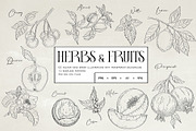 Herbs & Fruits hand drawn collection, an Object Illustration by Garden in frame (Thumbnail 1 of 9)