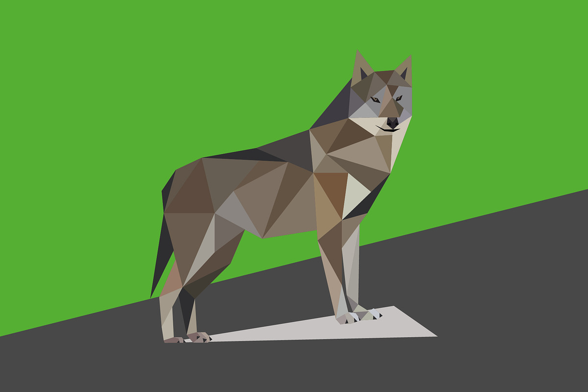 Wild animals in low poly style, an Animal Illustration by Volkan Aydemir (Photo 12 of 12)