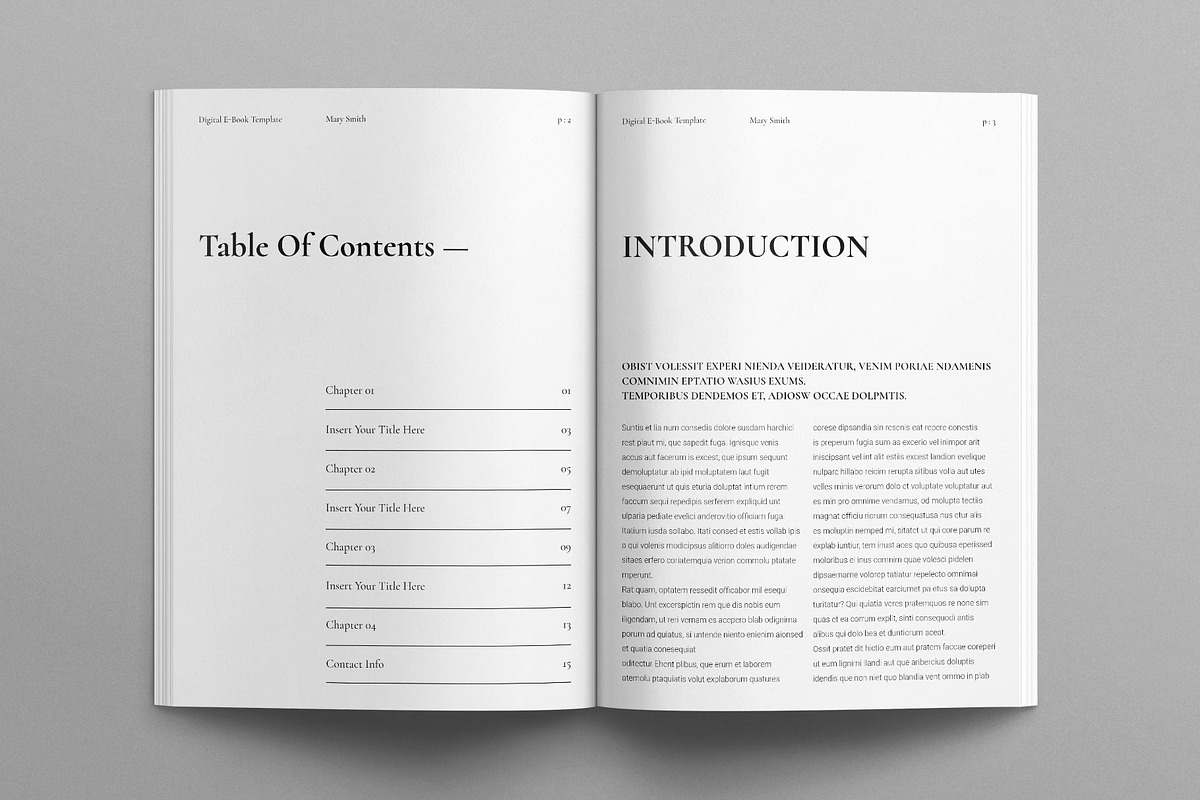 Digital E-Book Design Template, a Magazine Template by E-Type (Photo 2 of 7)