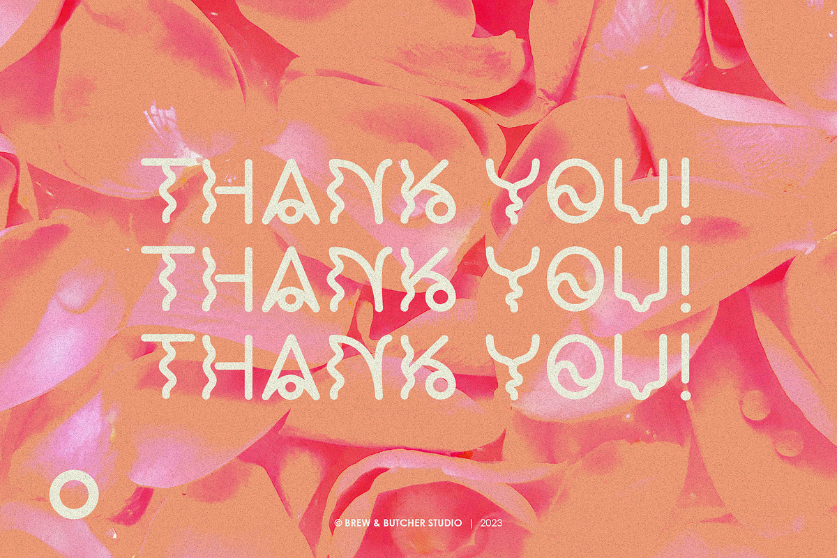 Ngegol | Display Typeface, a Handwritten Font by Brew & Butcher Studio (Photo 7 of 7)