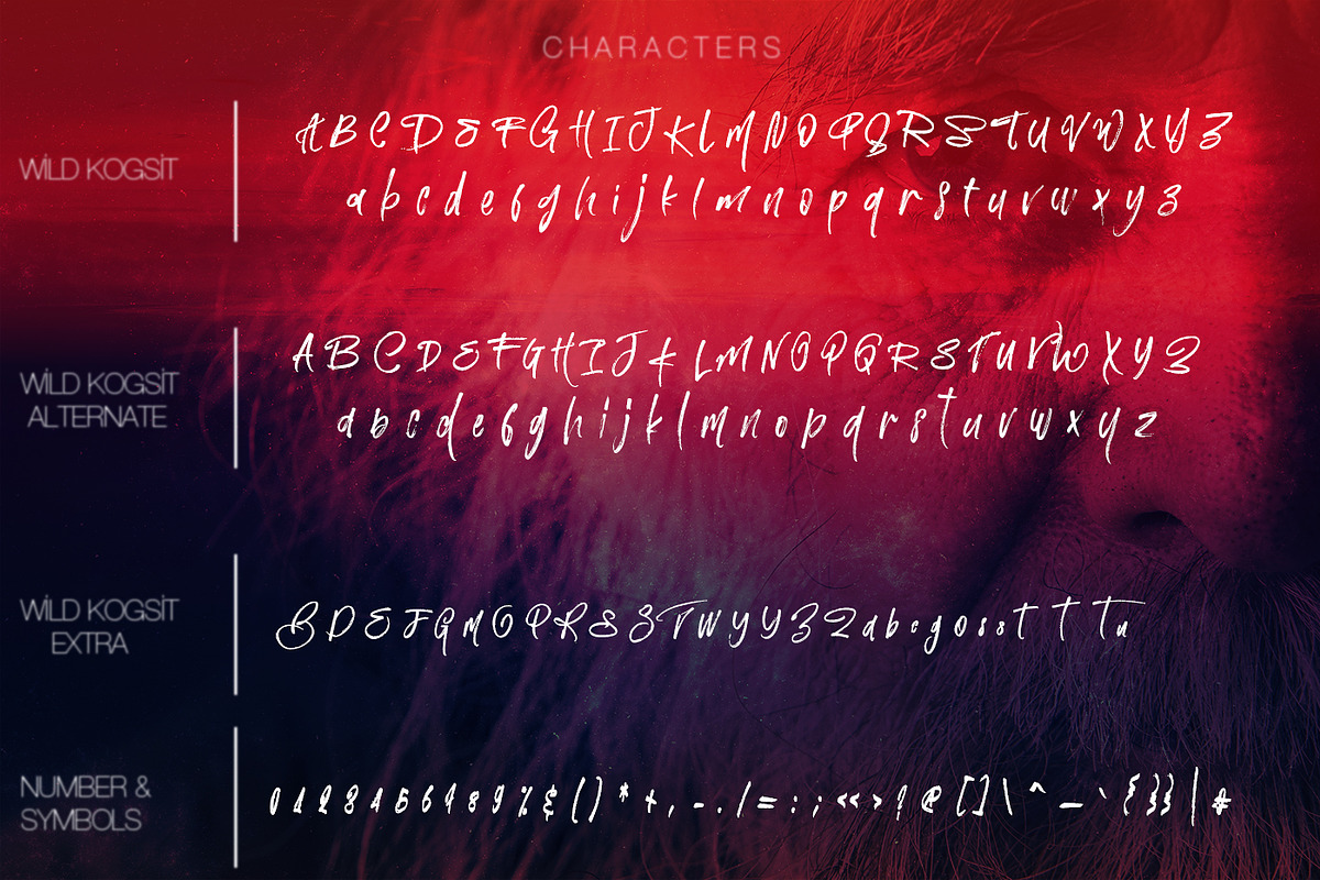 Wild Kogsit, a Script Font by Design Dukkan (Photo 12 of 12)