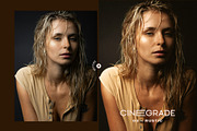 Cinegrade Lightroom Presets and LUTs, a Preset Add-On by Presetrain Co. (Thumbnail 2 of 14)