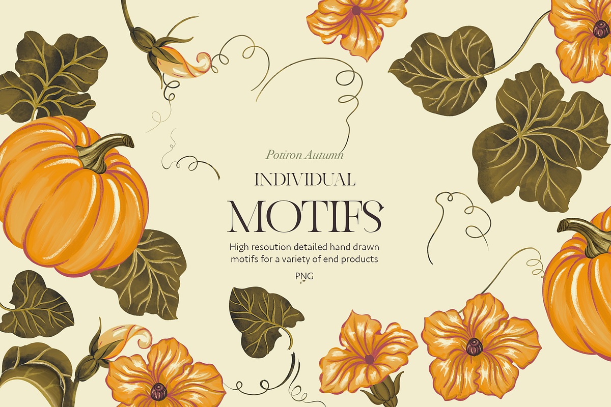 Potiron Autumn, a Seasonal Illustration by MenoMelo Studio (Photo 4 of 9)