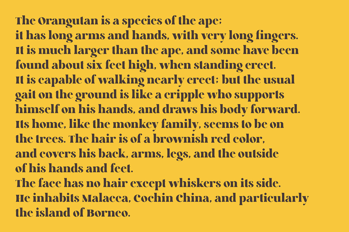 Chilotz | Serif Bold typeface, a Serif Font by Nowpe Studio (Photo 2 of 6)