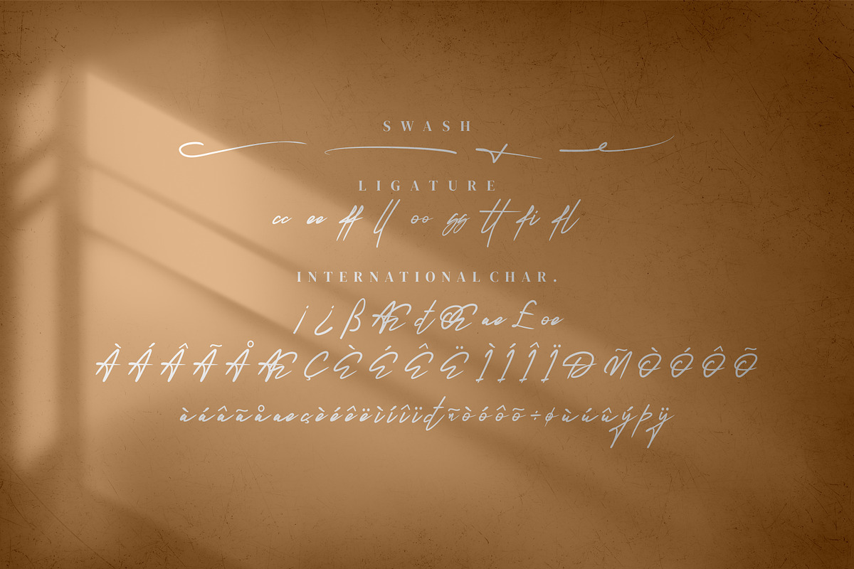 Reillytta Sheilabe Modern signature, a Script Font by mahstudios (Photo 8 of 8)