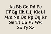 Creolia Typeface, a Serif Font by Dopestype (Thumbnail 9 of 12)