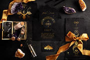 NOCTURNA Hidden Secrets Collection, a Decorative Illustration by Muse Artist (Thumbnail 33 of 47)