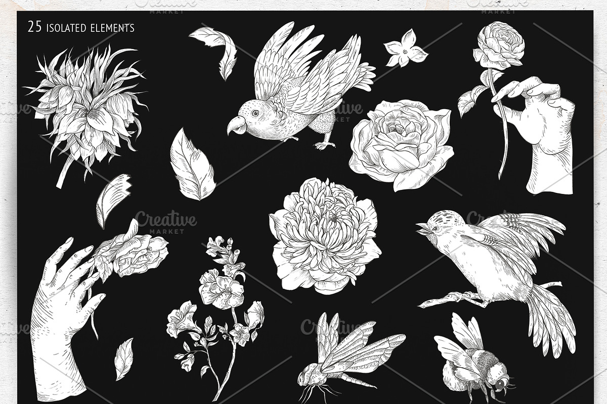 Regency flowers hand-drawn clipart, a Decorative Illustration by Depiano (Photo 2 of 10)