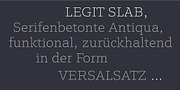 Legit Slab, a Slab Serif Font by Finaltype (Thumbnail 7 of 12)