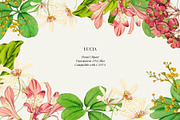 Vintage flowers and leaves, a Decorative Illustration by AS Studio (Thumbnail 4 of 4)