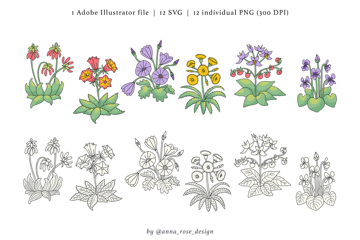 Tenerife Floral Millefleurs Patterns, a Pattern Graphic by Rose Design (Photo 6 of 10)