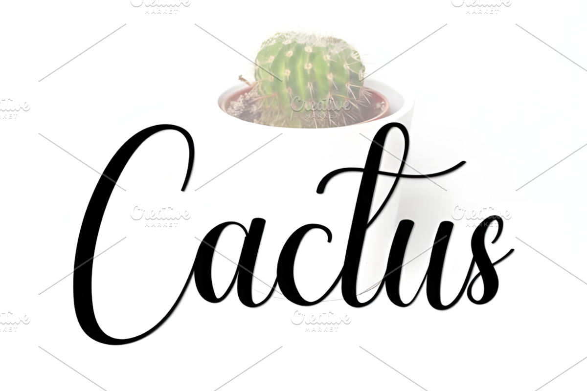 Amellia Font, a Handwritten Font by Design Station (Photo 2 of 5)