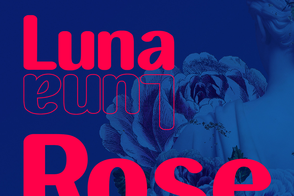 Takeda Sans Display Font Rounded, a Sans Serif Font by Maulana Creative (Photo 2 of 6)