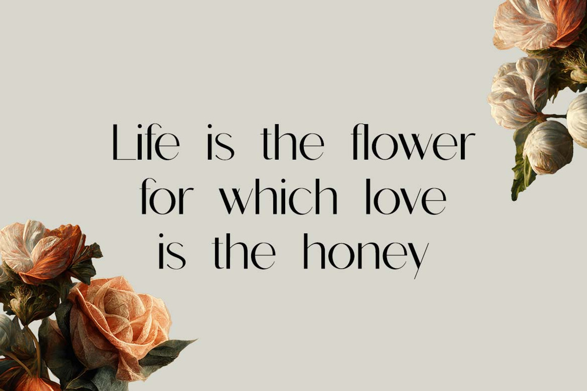 Mirage Stellar Sans Serif Font, a Sans Serif Font by UICreative (Photo 4 of 13)
