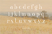 Nadier - Classic Retro Typeface, a Serif Font by Flawless And Co (Thumbnail 6 of 12)